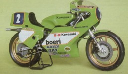 Protar 1:9 KR350 racer kit